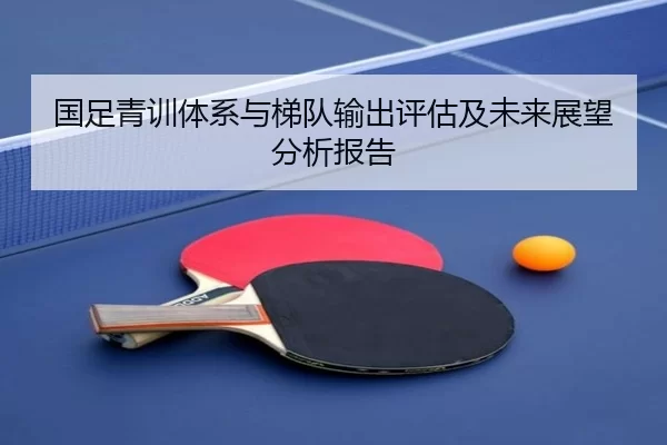 国足青训体系与梯队输出评估及未来展望分析报告